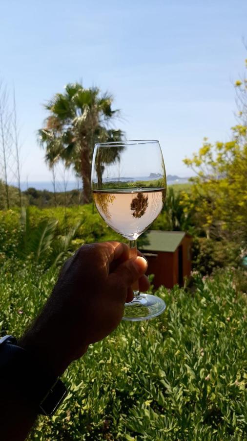 Gite Vue Mer La Cadière-d’Azur Kültér fotó