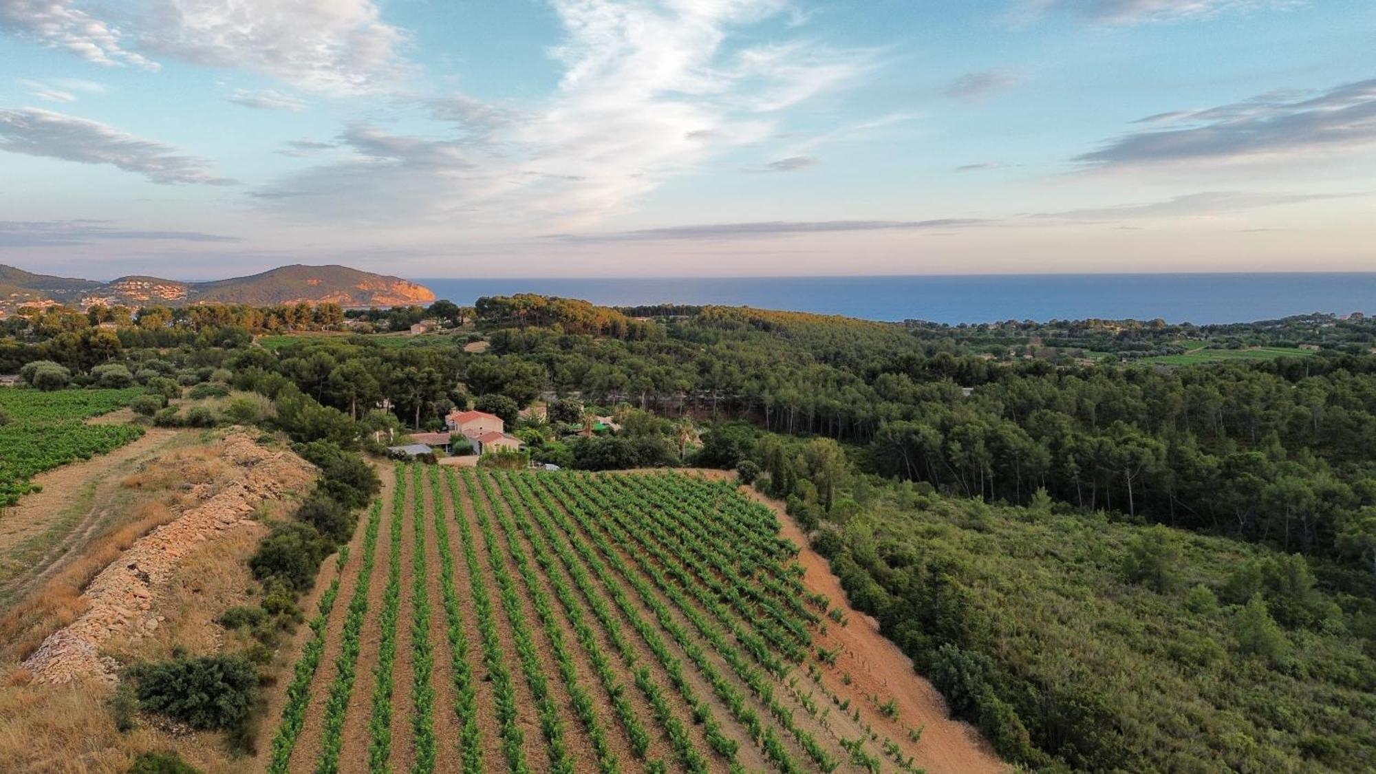 Gite Vue Mer La Cadière-d’Azur Kültér fotó