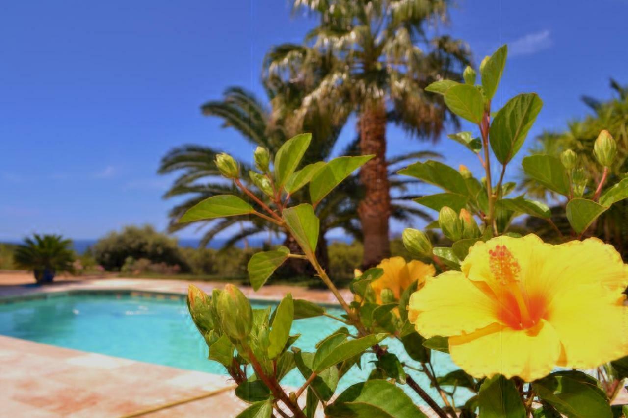 Gite Vue Mer La Cadière-d’Azur Kültér fotó